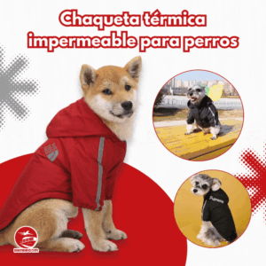 🐶 Chaqueta Térmica Impermeable para Perros – Calidez y Protección Todo el Año